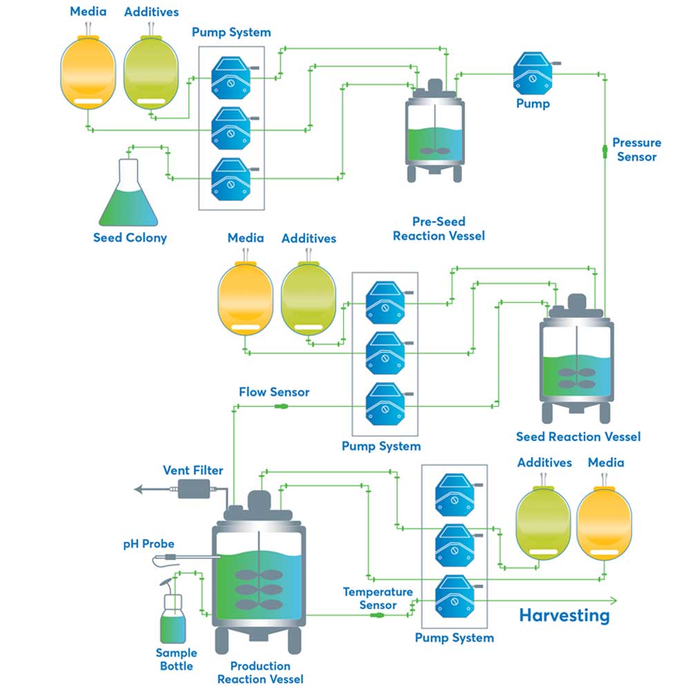 Typical products for Bioprocess Fermentation - peristaltic pumps, peristaltic pump tubing, single-use bioprocessing bags, mixing systems, sample bottle assemblies, filtration