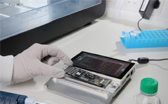 nanopore sequencing