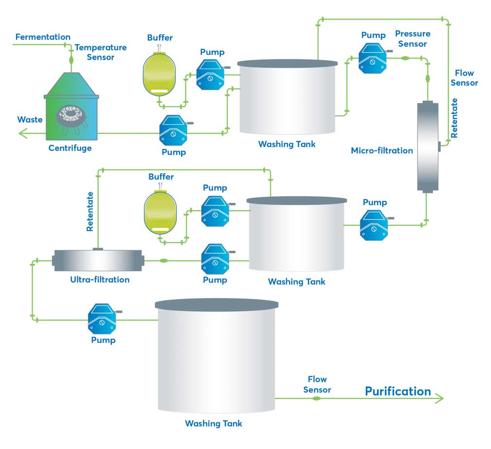 Typical products for Bioprocess Harvest - peristaltic pumps, Peristaltic pump tubing, single-use temperature sensor, biobags and buffer, fittings, clamps, filters, tanks, single-use pressure sensors, flow sensors, centrifuge